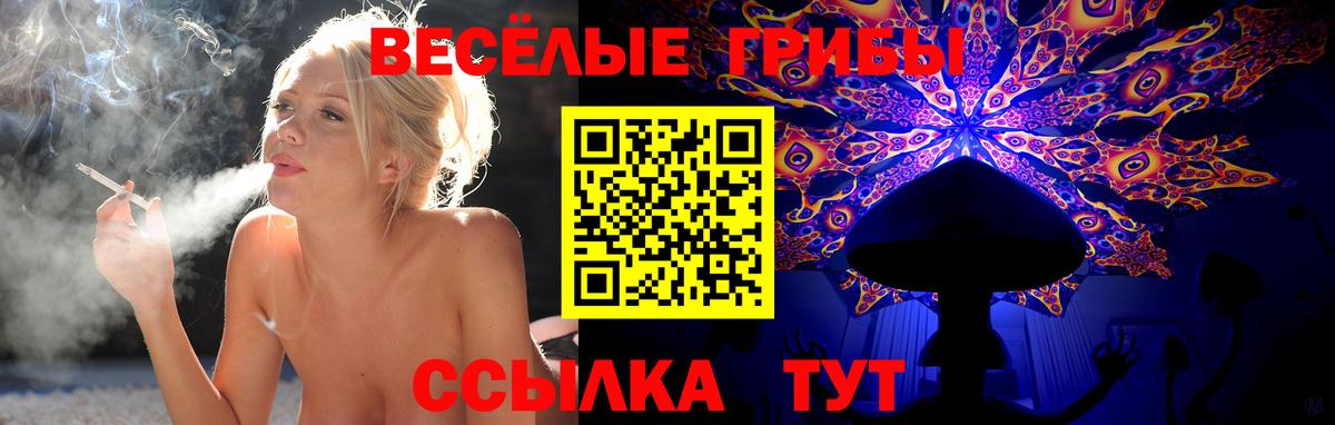 Гулькевичи  Псилоцибиновые грибы прущие грибы  Вход с VPN 